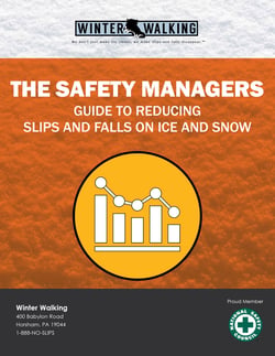 The-Safety-Managers-Guide-to-Reducing-Slips-and-Falls-on-Ice-and-Snow-1-1